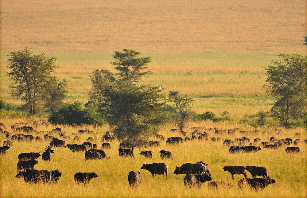 Kidepo National Park