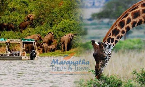 3 days Queen Elizabeth Wildlife Safari