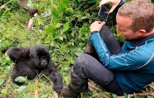 5 Days Rwanda Gorilla Tour
