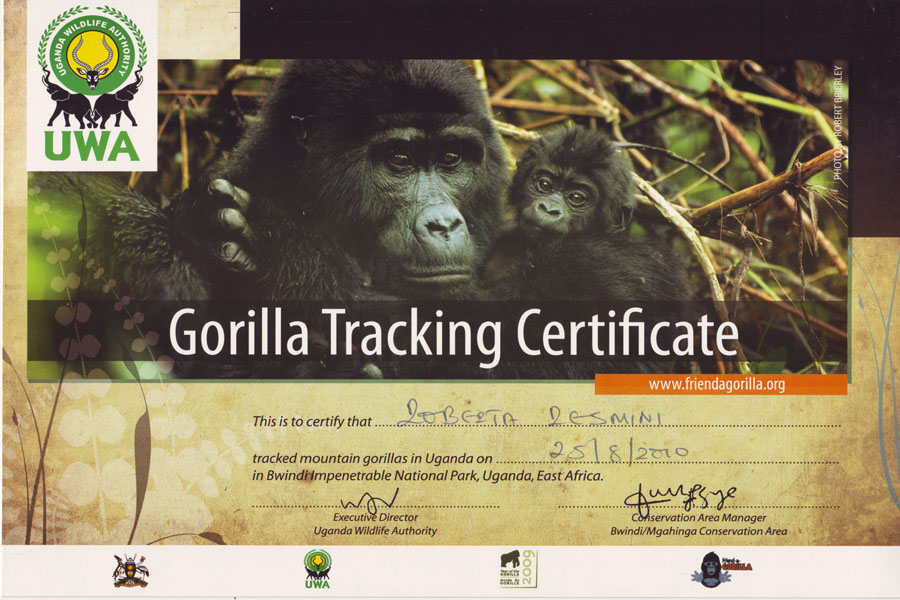 Gorilla Trekking Certificate