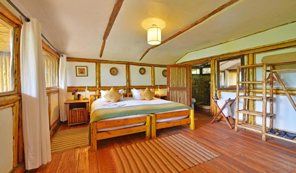 Luxury Lodges in Bwindi Forest