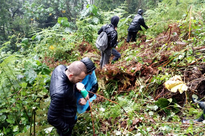 Cheap gorilla safaris in Africa
