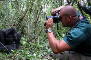 Traveler on a combined Uganda and Rwanda safari