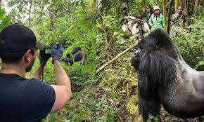 Photography tips in Uganda, Rwanda and Congo