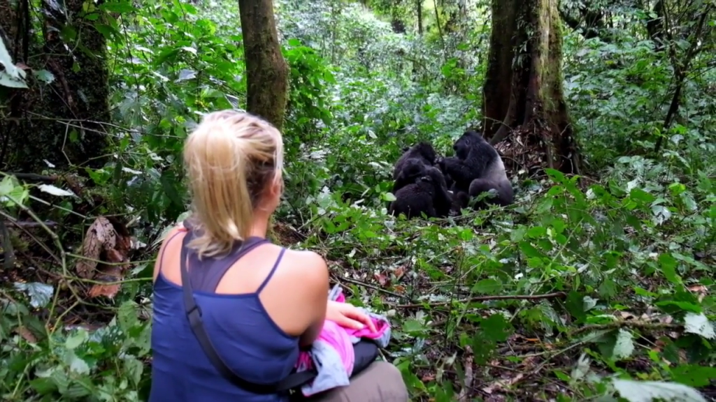 Gorilla tours in Uganda