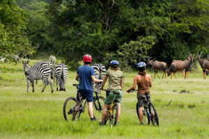 Attractions and activities in Lake Mburo National Park