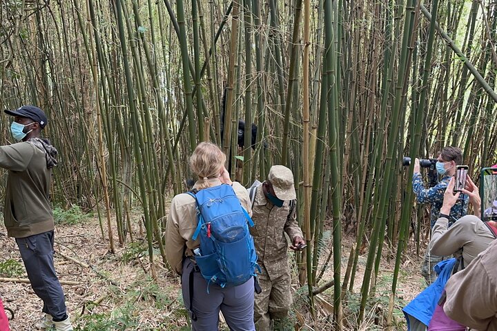 gorilla trekking age limit in Uganda