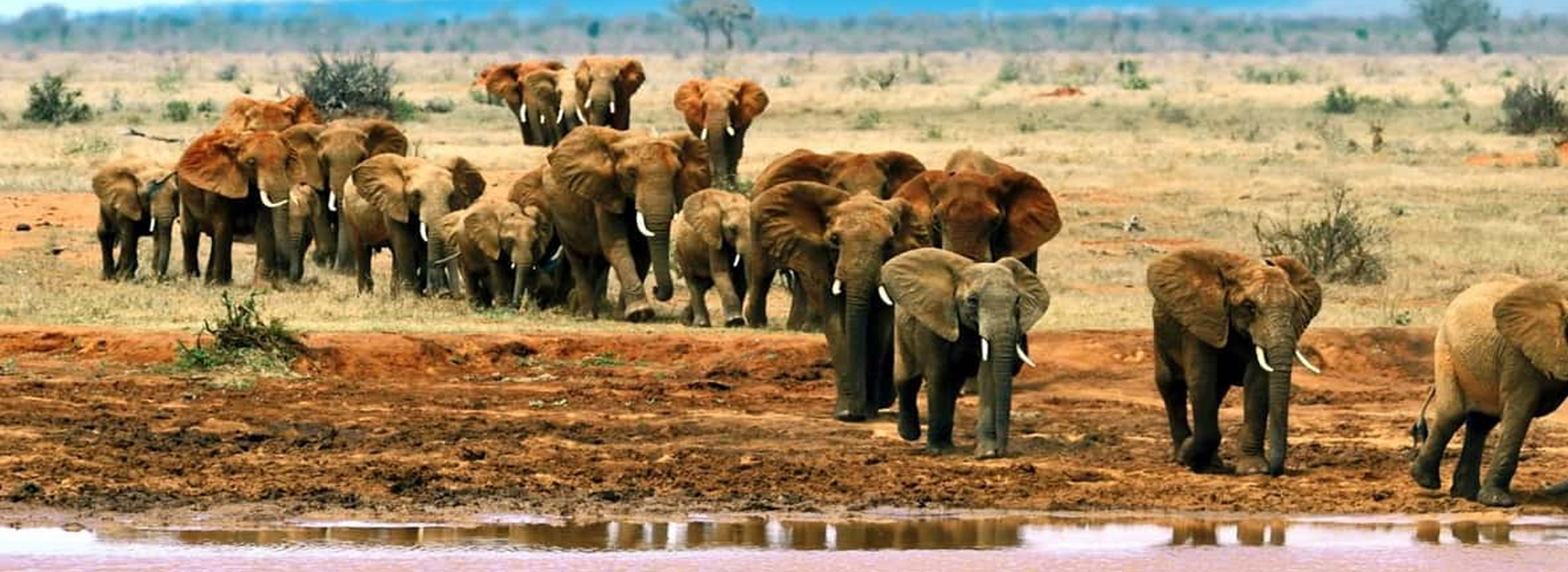 East-Madi-Wildlife-Reserve