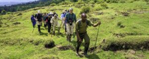 Gorilla trekking and volcano hiking safari, Uganda