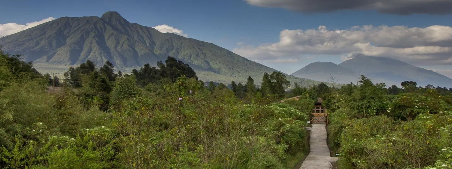 Volcanoes-National-Park-Rwanda