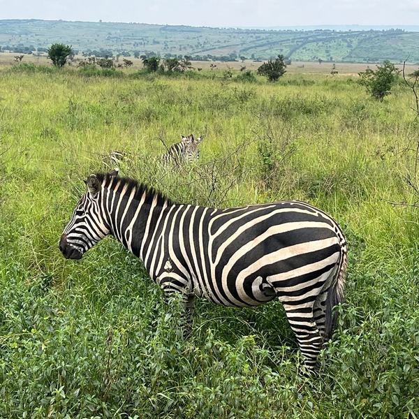 rawandatour4