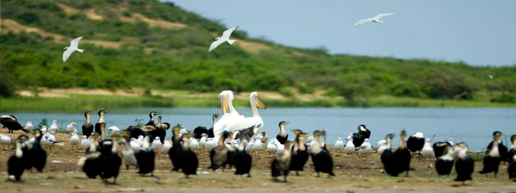 uganda-tours