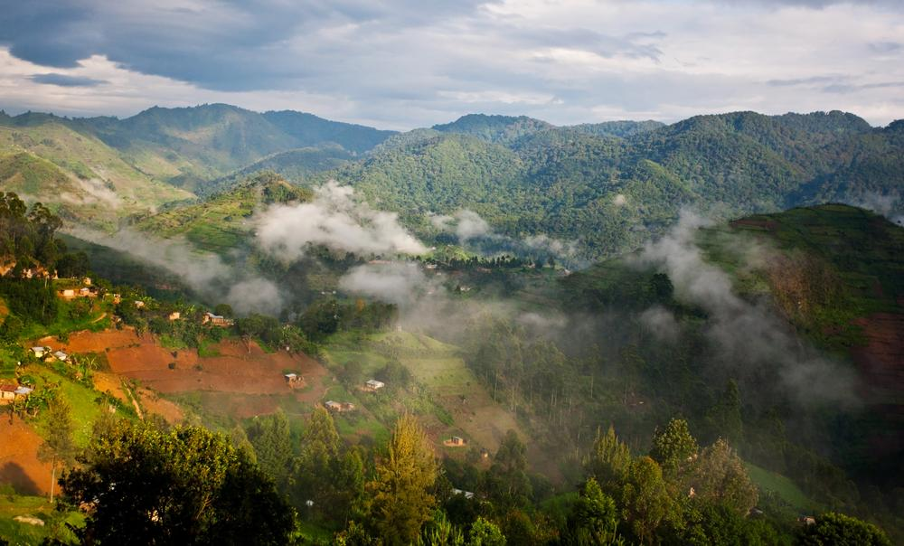 How to Get to Bwindi Impenetrable National Park