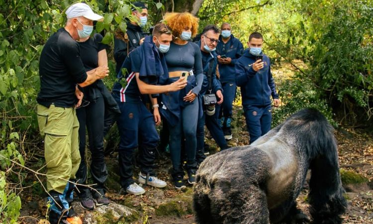 Eligible Age for Gorilla Trekking