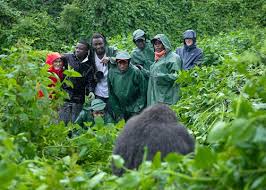 Eligible Age for Gorilla Trekking