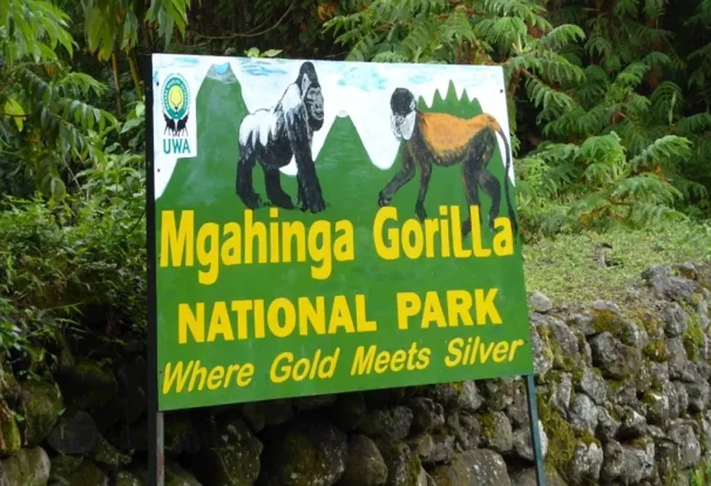 Mgahinga Gorilla National Park
