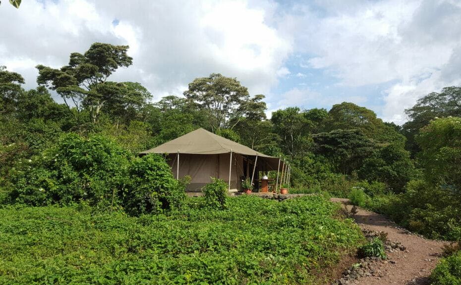 Bukima Sector
