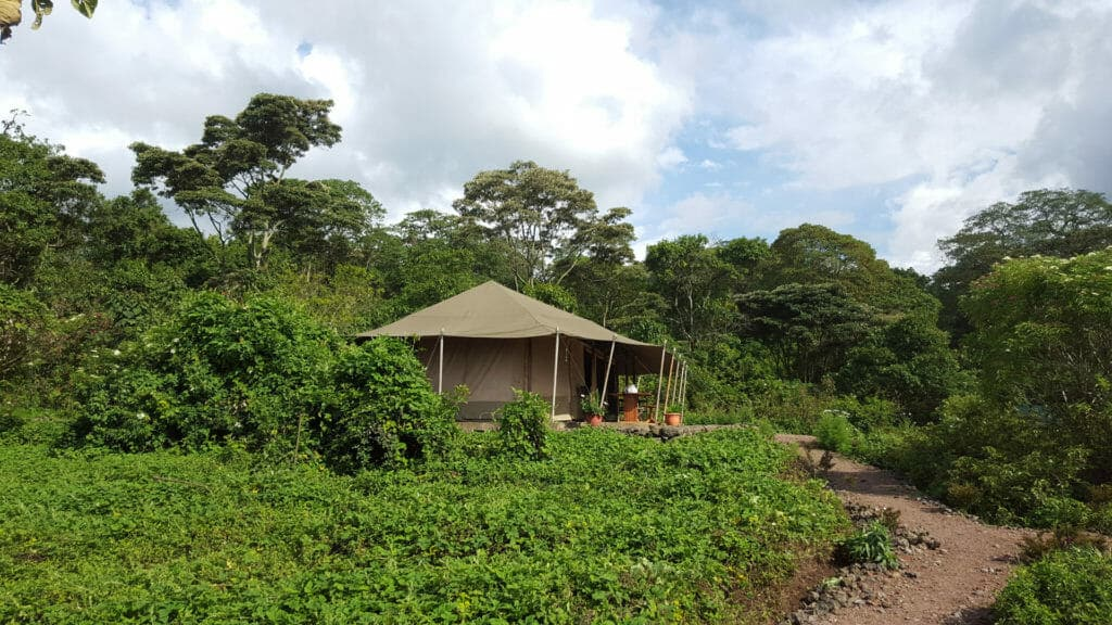 Bukima Sector
