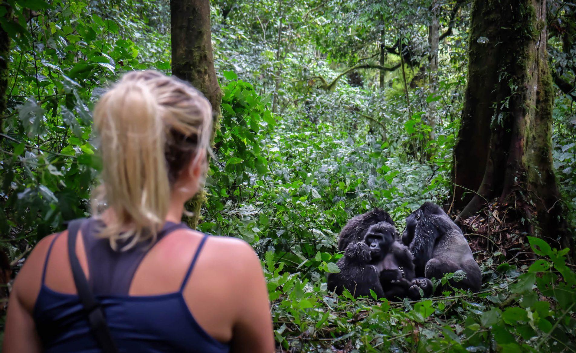 4 Days Uganda Gorillas & Lake Bunyonyi