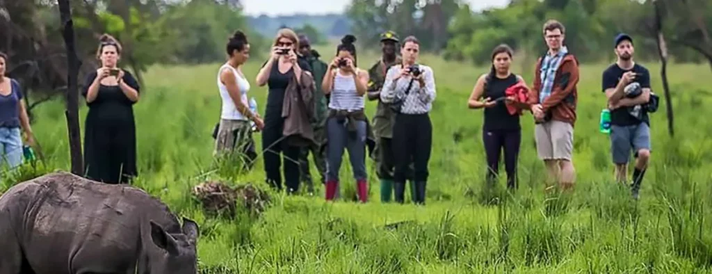 Tips for Planning a Group Safari