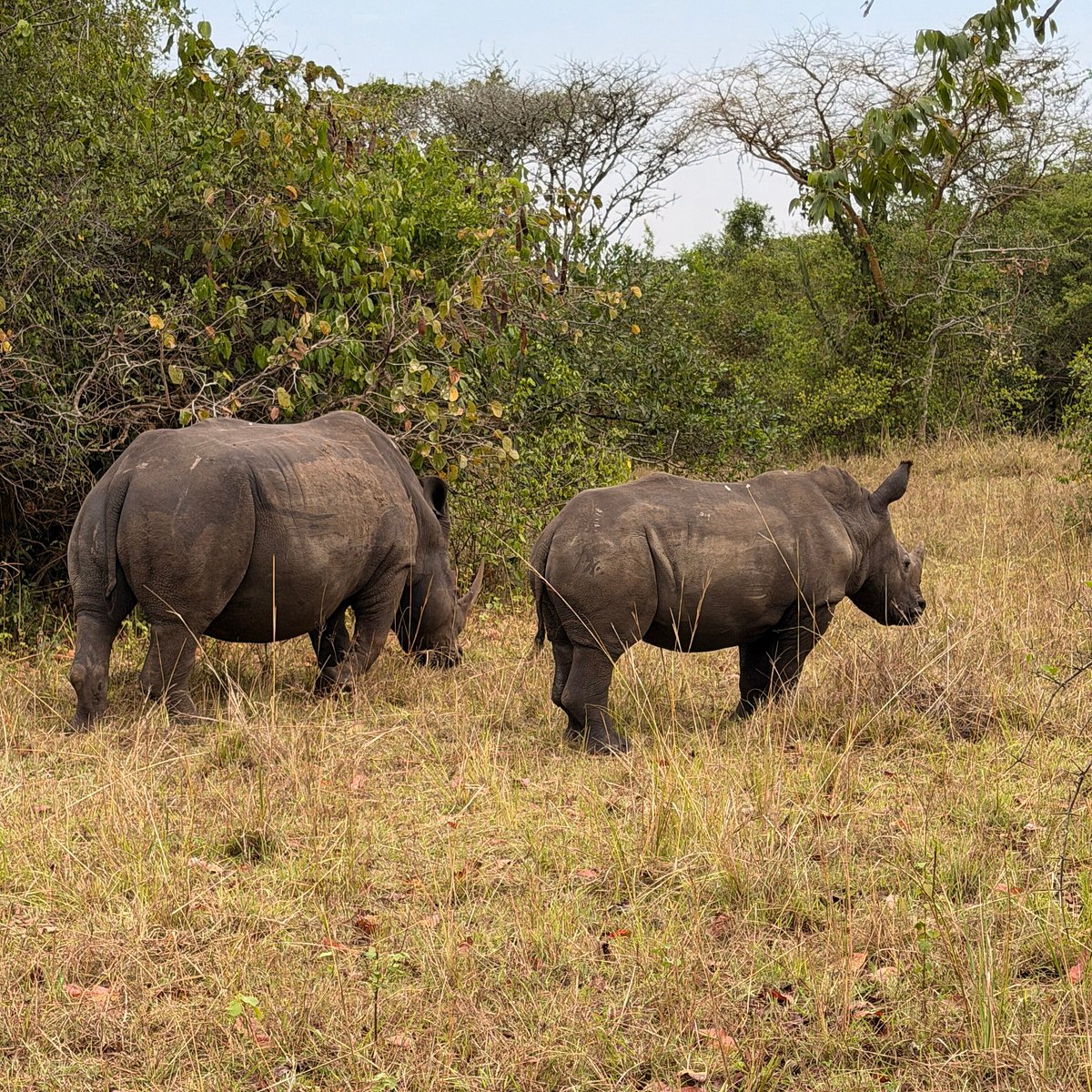 Ziwa Rhino Sanctuary