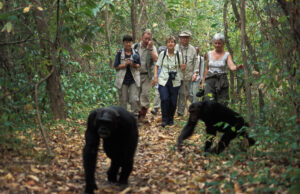 Rwanda countryside on a multi-day safari