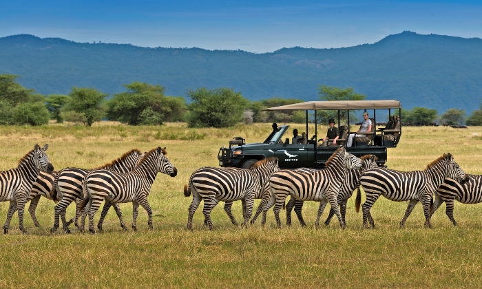 Akagera National Park