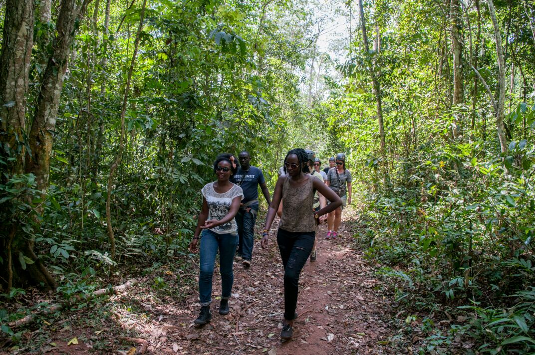 Bigodi Wetland Sanctuary