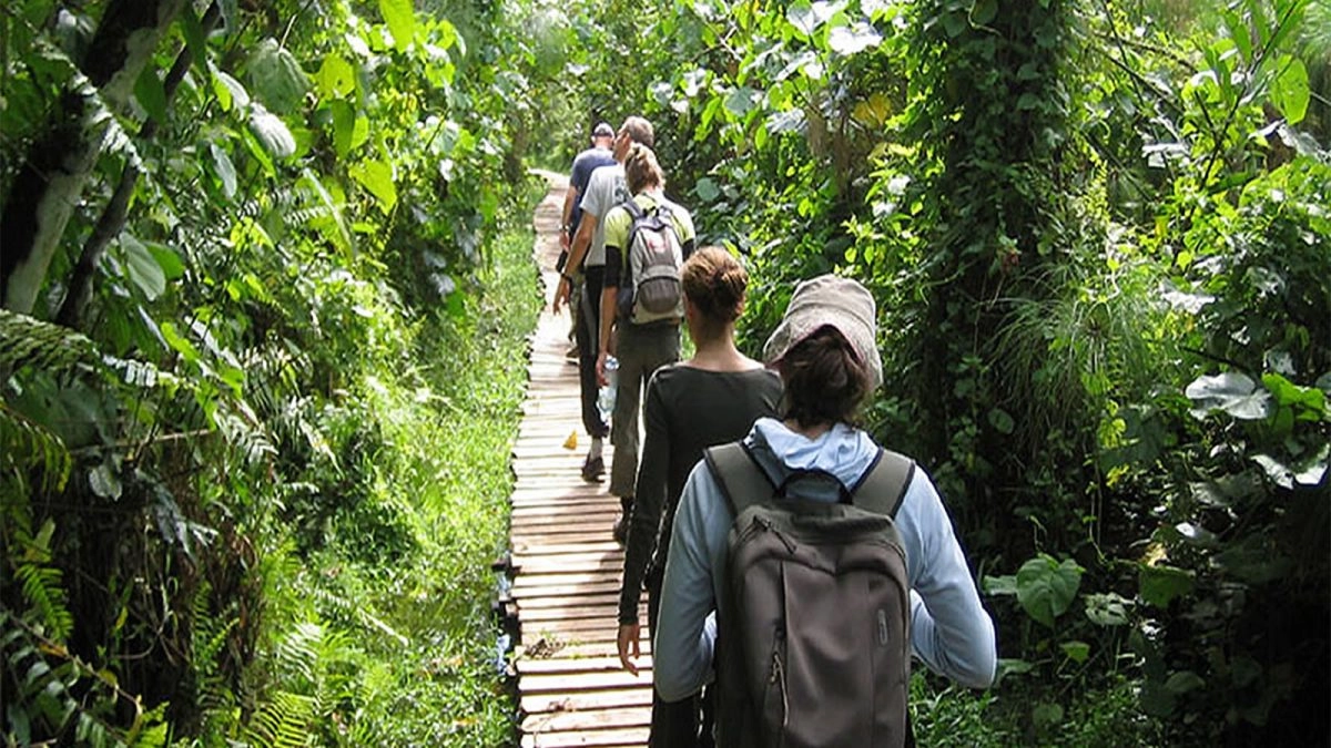 Bigodi Wetland Sanctuary