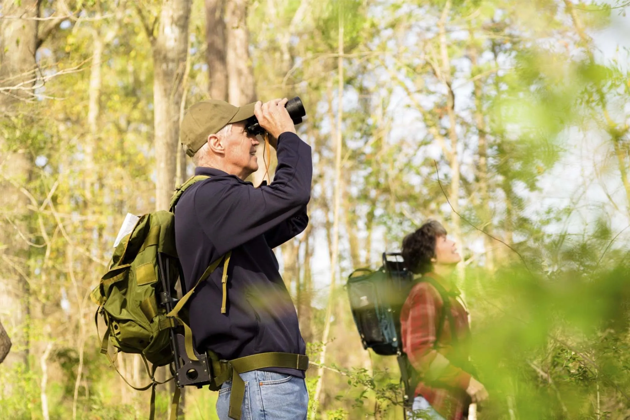 Top Bird Species to Spot in Bwindi