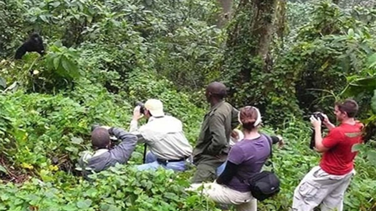 4 Days Rwanda Double Gorilla Trekking