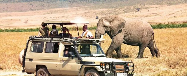 How much does a Uganda wildlife safari cost?