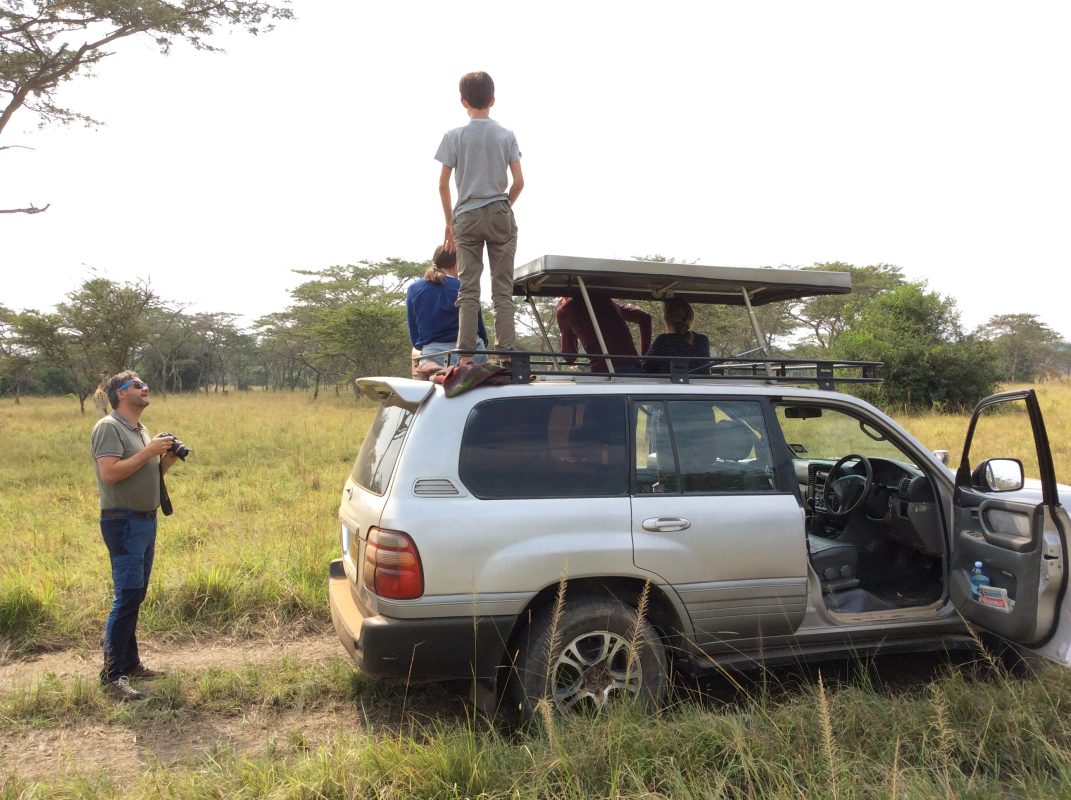 Self-Drive or Driver-Guided Car Hire?